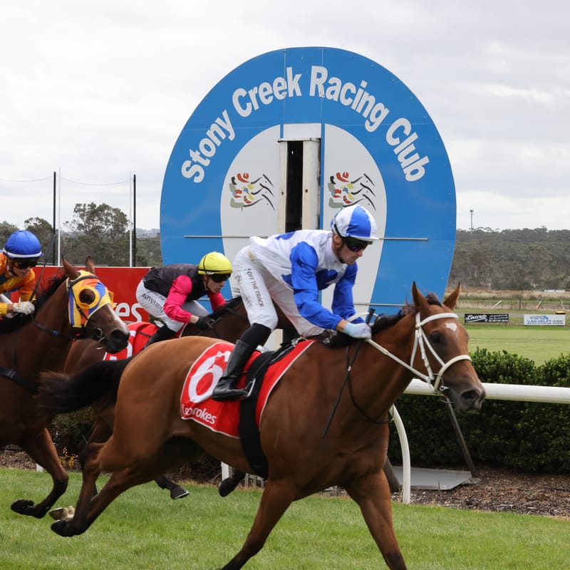 Country cups king Station One wins the Stony Creek Cup post image