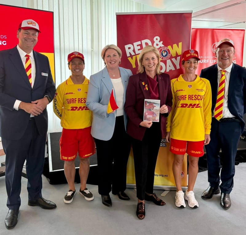 Monash MP pushes beach safety message ahead of long weekend post image