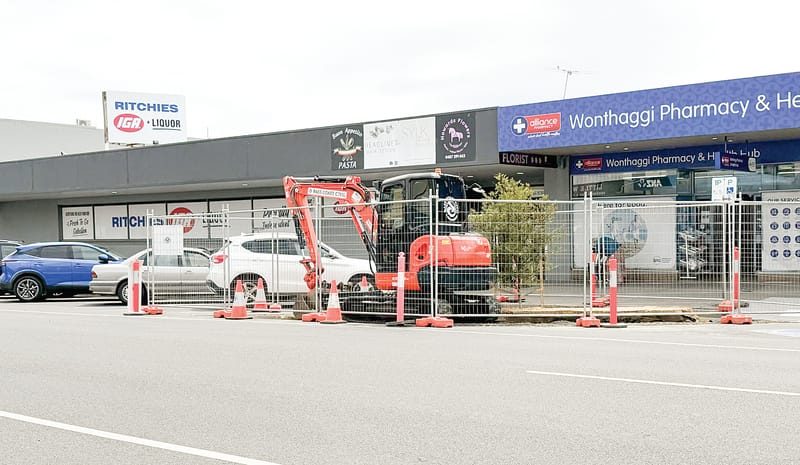 Speculation surrounds Graham Street tree works post image