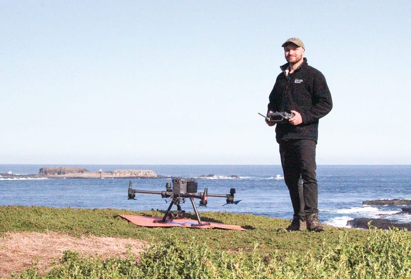 Thermal drones boost detection of entangled seals post image